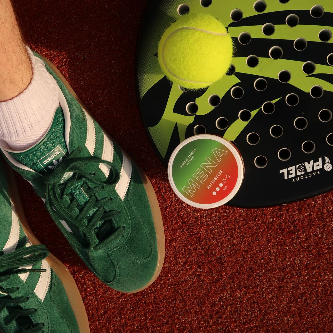 mena nicotine pouches watermelon in dubai